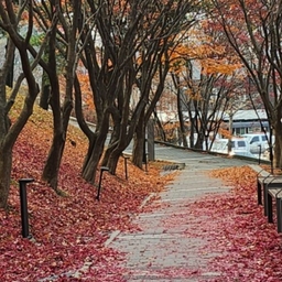 피드에 업로드 된 이미지