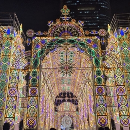 피드에 업로드 된 이미지