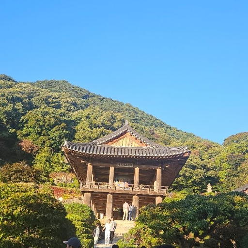 피드 이미지