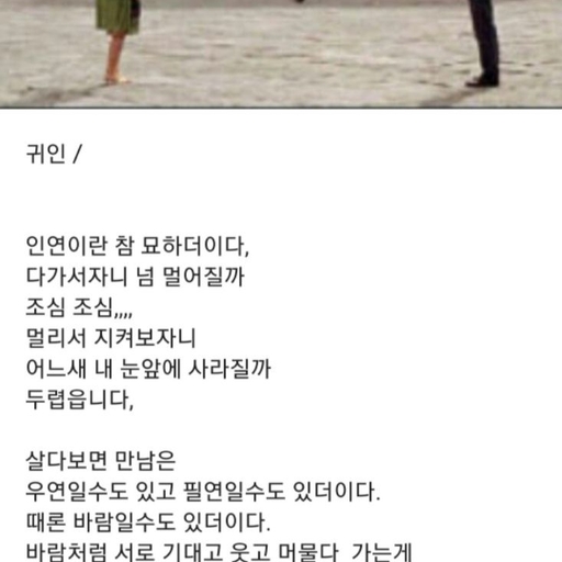 피드 이미지