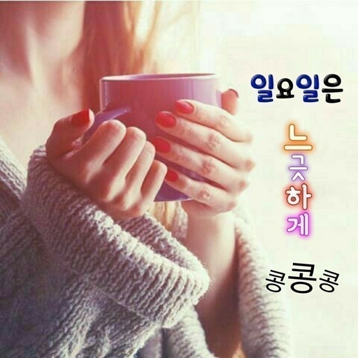 피드 이미지
