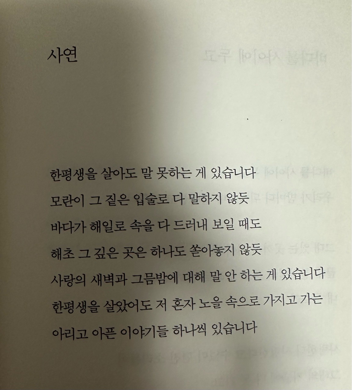 피드 이미지