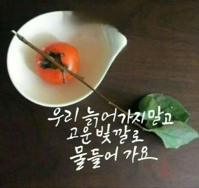 피드에 업로드 된 이미지