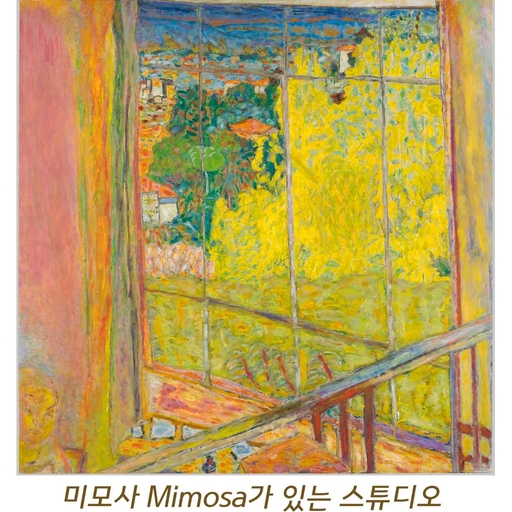 피드 이미지