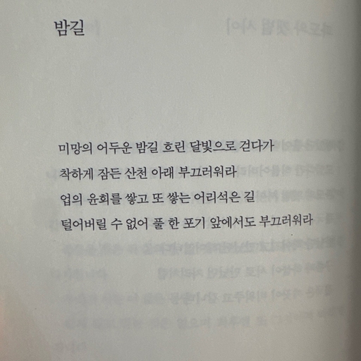 피드 이미지