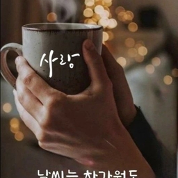 피드에 업로드 된 이미지