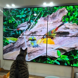 피드에 업로드 된 이미지