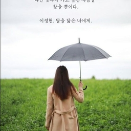 피드에 업로드 된 이미지
