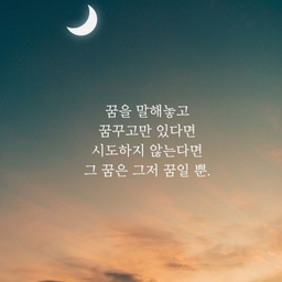 피드에 업로드 된 이미지
