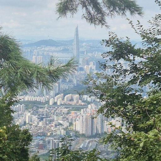 피드 이미지