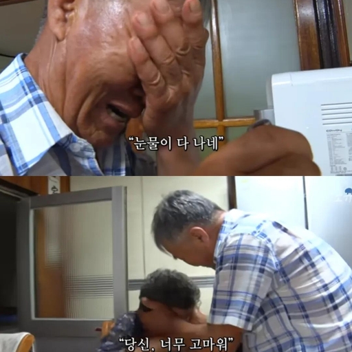 피드 이미지
