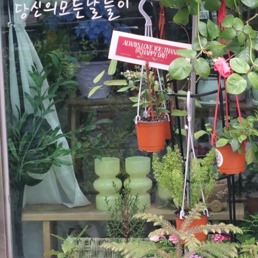 피드 이미지