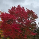 피드 작성자 프로필