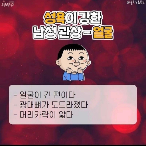 피드 이미지