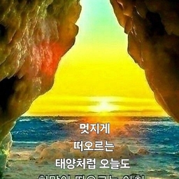 피드에 업로드 된 이미지