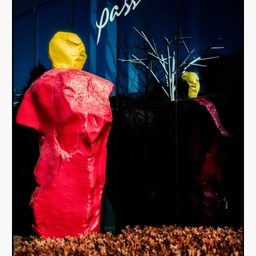 피드에 업로드 된 이미지