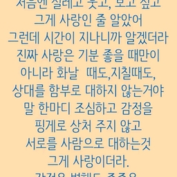 피드에 업로드 된 이미지