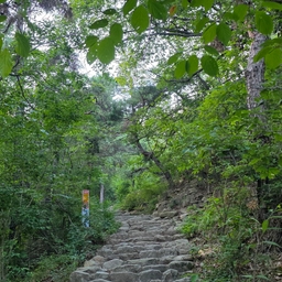 피드에 업로드 된 이미지