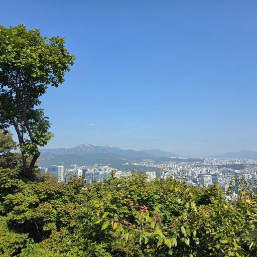 피드 이미지