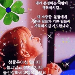 피드에 업로드 된 이미지