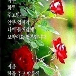 피드에 업로드 된 이미지