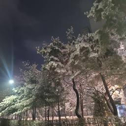 피드에 업로드 된 이미지