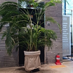 피드에 업로드 된 이미지