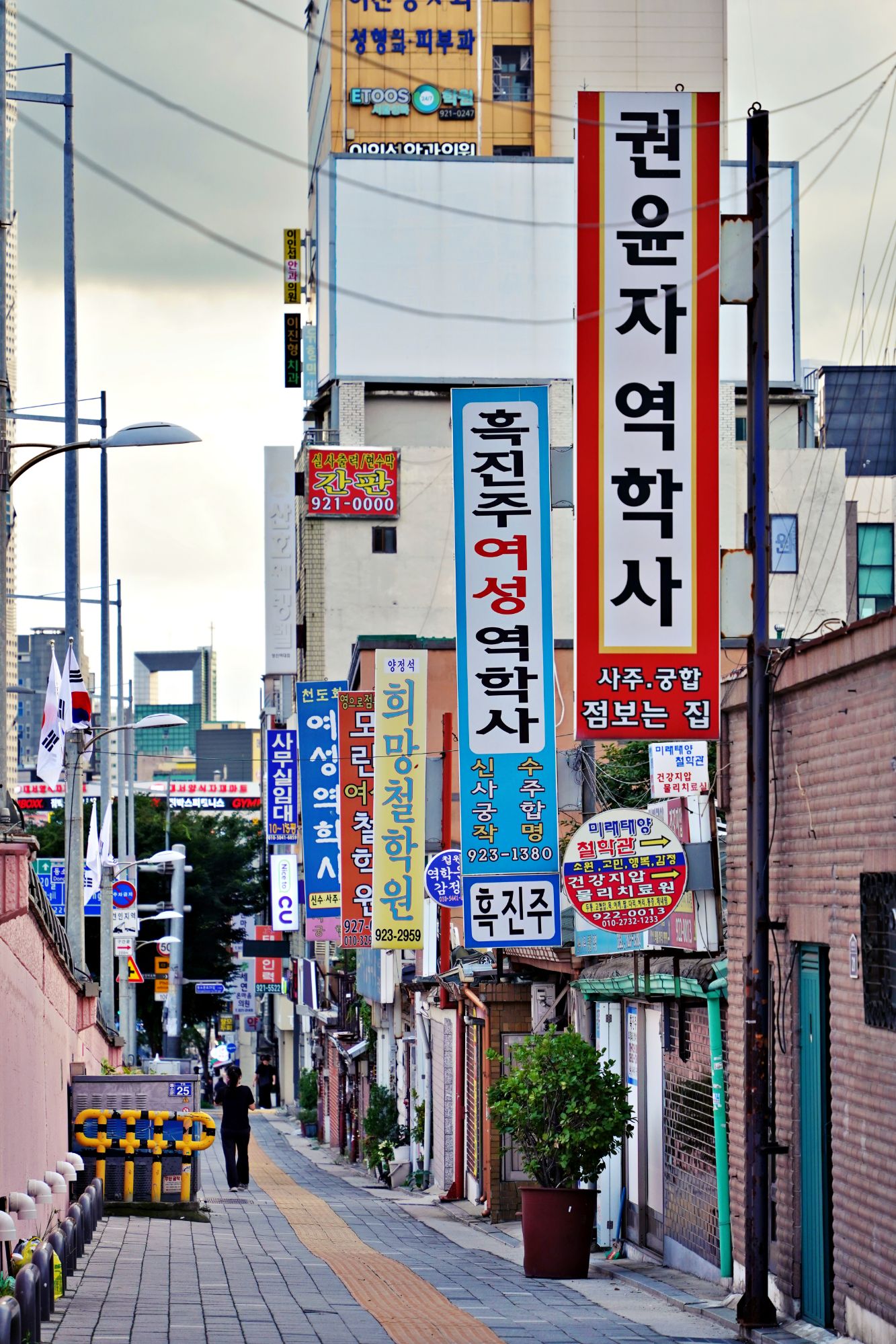 피드 이미지
