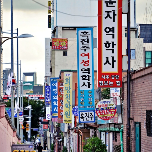 피드 이미지
