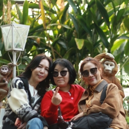 피드에 업로드 된 이미지