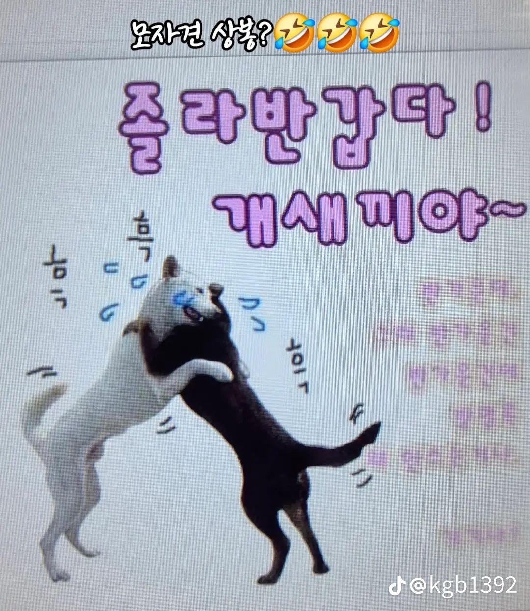 피드 이미지