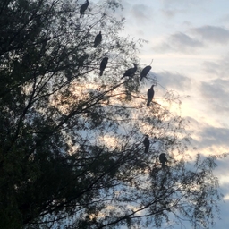 피드에 업로드 된 이미지