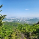 멤버 프로필