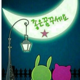 피드에 업로드 된 이미지