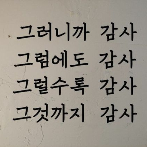 피드 이미지