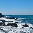 피드 작성자 프로필