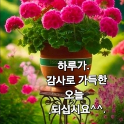 피드에 업로드 된 이미지