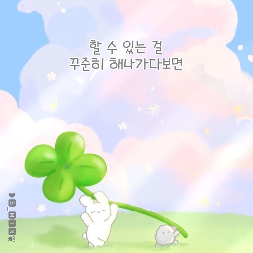 피드 이미지