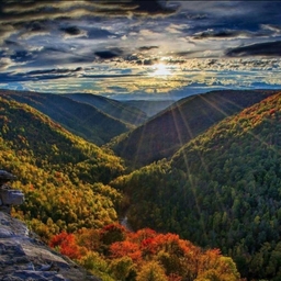 피드에 업로드 된 이미지