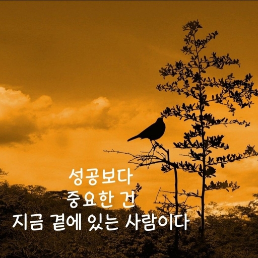피드 이미지