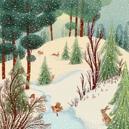 피드에 업로드 된 이미지