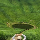 피드 작성자 프로필