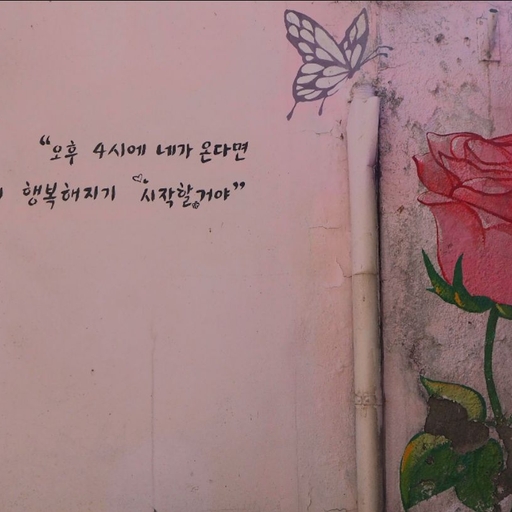 피드 이미지