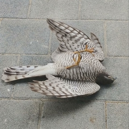 피드에 업로드 된 이미지