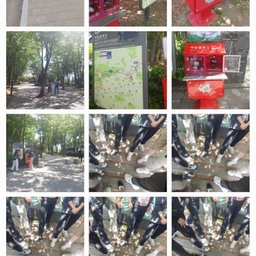 피드에 업로드 된 이미지