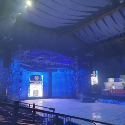 피드에 업로드 된 이미지