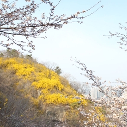 피드에 업로드 된 이미지