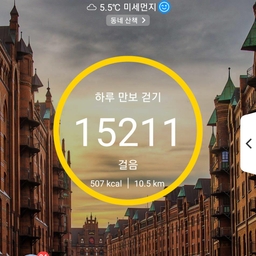 피드에 업로드 된 이미지