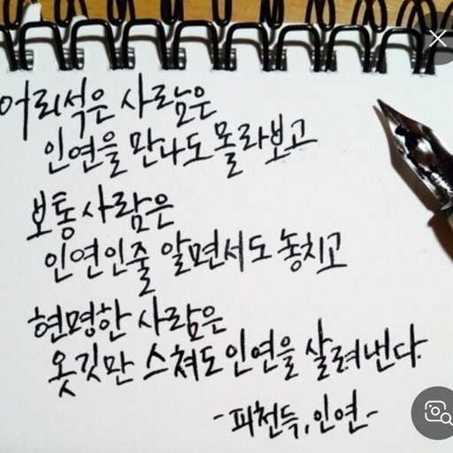 피드 이미지