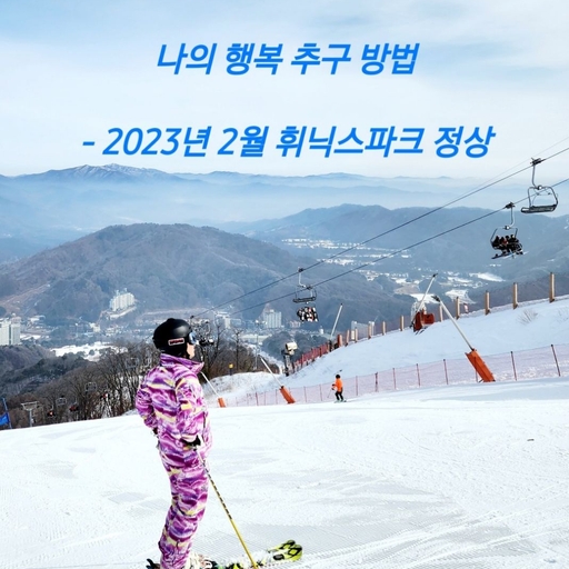 피드 이미지